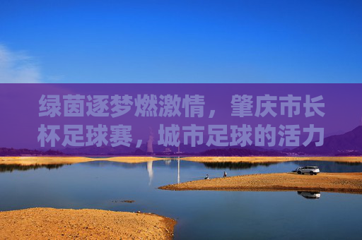 绿茵逐梦燃激情,肇庆市长杯足球赛,城市足球的活力脉搏与全民体育的璀璨绽放