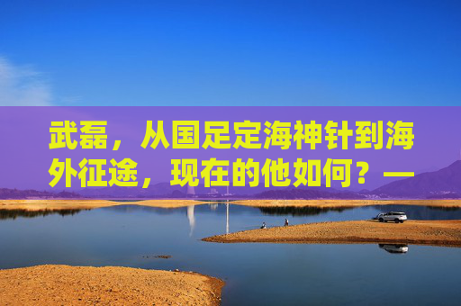 武磊,从国足定海神针到海外征途,现在的他如何?——聚焦足球武磊当前状态与前景