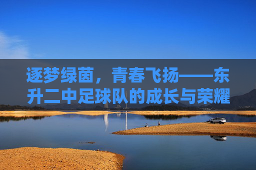 逐梦绿茵，青春飞扬——东升二中足球队的成长与荣耀