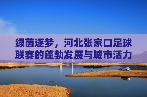 绿茵逐梦，河北张家口足球联赛的蓬勃发展与城市活力，绿茵逐梦，河北张家口足球联赛的蓬勃发展与城市活力