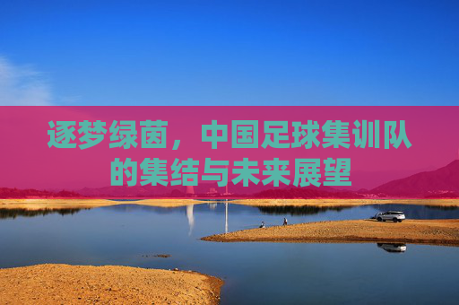 逐梦绿茵，中国足球集训队的集结与未来展望