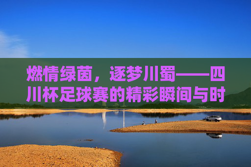 燃情绿茵，逐梦川蜀——四川杯足球赛的精彩瞬间与时代意义