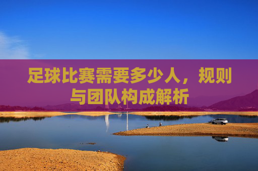足球比赛需要多少人，规则与团队构成解析