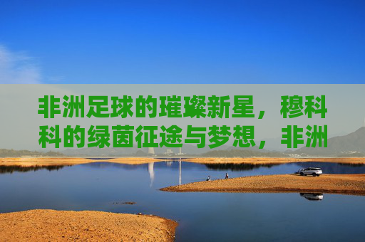 非洲足球的璀璨新星,穆科科的绿茵征途与梦想,非洲足球的璀璨新星,穆科科的绿茵征途与梦想