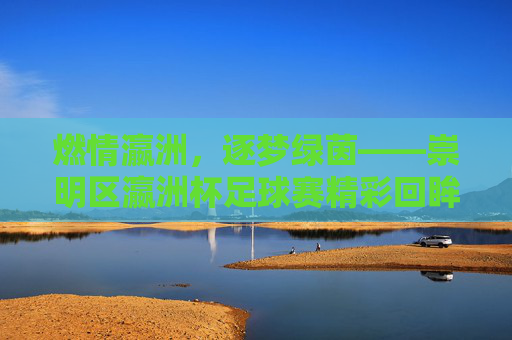 燃情瀛洲，逐梦绿茵——崇明区瀛洲杯足球赛精彩回眸