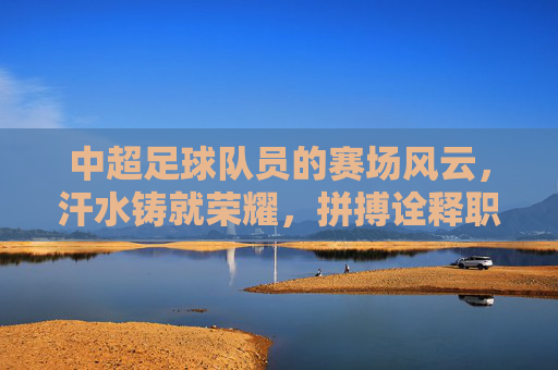 中超足球队员的赛场风云，汗水铸就荣耀，拼搏诠释职业精神，中超赛场风云录，汗水铸就荣耀，拼搏诠释职业精神