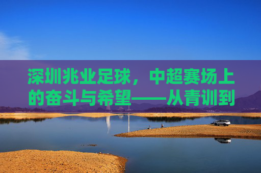 深圳兆业足球，中超赛场上的奋斗与希望——从青训到竞技的逐梦之路