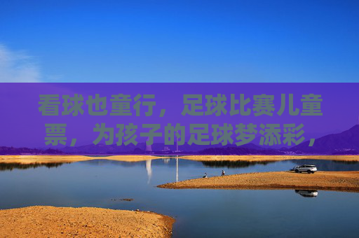 看球也童行，足球比赛儿童票，为孩子的足球梦添彩，看球也童行，足球比赛儿童票，为孩子的足球梦添彩