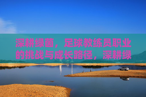 深耕绿茵，足球教练员职业的挑战与成长路径，深耕绿茵，足球教练员职业的挑战与成长路径