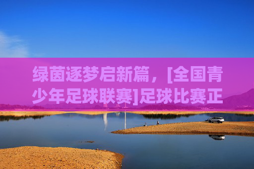 绿茵逐梦启新篇，[全国青少年足球联赛]足球比赛正式开幕，绿茵逐梦启新篇，全国青少年足球联赛正式开幕