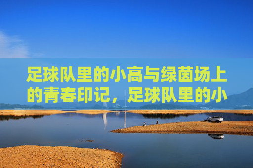 足球队里的小高与绿茵场上的青春印记，足球队里的小高与绿茵场上的青春印记