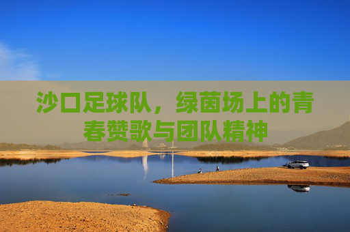 沙口足球队，绿茵场上的青春赞歌与团队精神