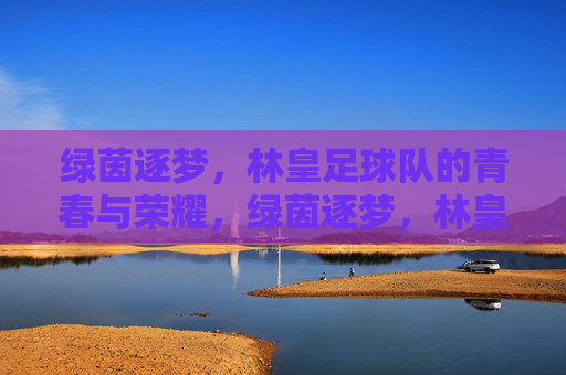 绿茵逐梦，林皇足球队的青春与荣耀，绿茵逐梦，林皇足球队的青春与荣耀