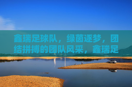 鑫瑞足球队，绿茵逐梦，团结拼搏的团队风采，鑫瑞足球队，绿茵逐梦，团结拼搏的团队风采