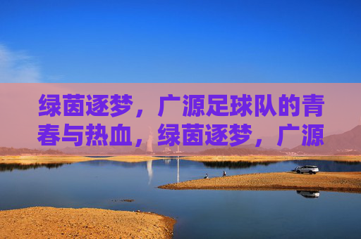 绿茵逐梦，广源足球队的青春与热血，绿茵逐梦，广源足球队的青春与热血