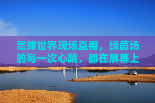 足球世界现场直播,绿茵场的每一次心跳,都在屏幕上跃动,足球现场直播,绿茵场的每一次心跳,都在屏幕上跃动