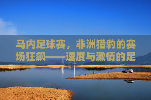 马内足球赛，非洲猎豹的赛场狂飙——速度与激情的足球盛宴，马内足球赛，非洲猎豹的赛场狂飙——速度与激情的足球盛宴