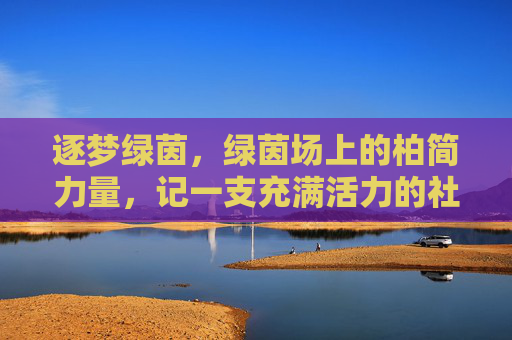 逐梦绿茵，绿茵场上的柏简力量，记一支充满活力的社区足球队，逐梦绿茵，绿茵场上的柏简力量，记一支充满活力的社区足球队