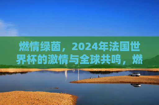 燃情绿茵，2024年法国世界杯的激情与全球共鸣，燃情绿茵，2024年法国世界杯的激情与全球共鸣