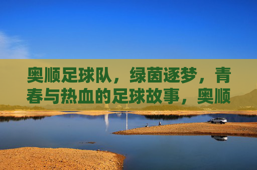 奥顺足球队，绿茵逐梦，青春与热血的足球故事，奥顺足球队，绿茵逐梦，青春与热血的足球故事