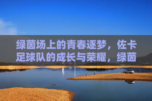 绿茵场上的青春逐梦，佐卡足球队的成长与荣耀，绿茵场上的青春逐梦，佐卡足球队的成长与荣耀