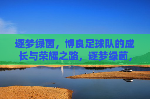 逐梦绿茵，博良足球队的成长与荣耀之路，逐梦绿茵，博良足球队的成长与荣耀之路