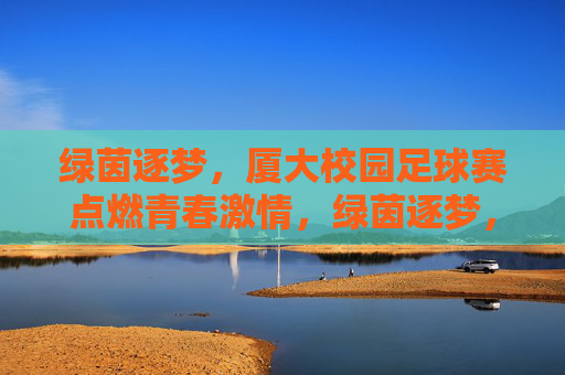 绿茵逐梦，厦大校园足球赛点燃青春激情，绿茵逐梦，厦大校园足球赛点燃青春激情