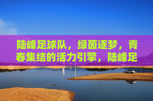 陆峰足球队，绿茵逐梦，青春集结的活力引擎，陆峰足球队，绿茵逐梦，青春集结的活力引擎