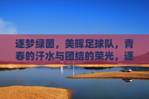 逐梦绿茵，美晖足球队，青春的汗水与团结的荣光，逐梦绿茵，美晖足球队，青春的汗水与团结的荣光