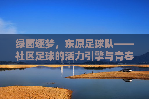 绿茵逐梦，东原足球队——社区足球的活力引擎与青春注脚，绿茵逐梦，东原足球队——社区足球的活力引擎与青春注脚