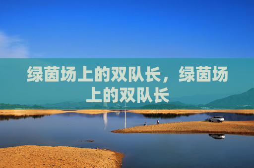 绿茵场上的双队长，绿茵场上的双队长