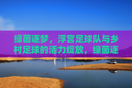 绿茵逐梦，浮宫足球队与乡村足球的活力绽放，绿茵逐梦，浮宫足球队与乡村足球的活力绽放