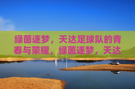 绿茵逐梦,天达足球队的青春与荣耀,绿茵逐梦,天达足球队的青春与荣耀