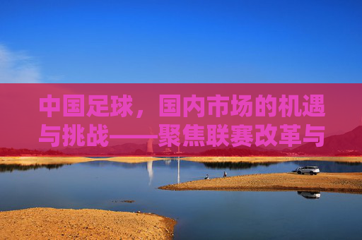中国足球，国内市场的机遇与挑战——聚焦联赛改革与青少年培养的路径探索，中国足球国内市场的机遇与挑战，联赛改革与青少年培养的路径探索