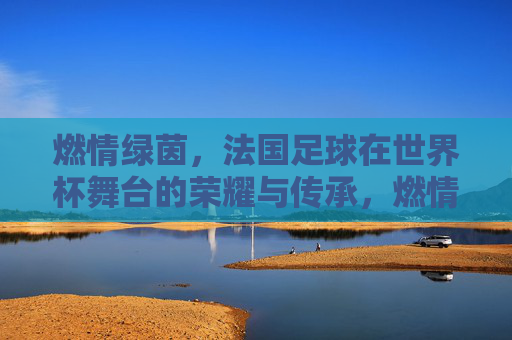 燃情绿茵，法国足球在世界杯舞台的荣耀与传承，燃情绿茵，法国足球在世界杯舞台的荣耀与传承