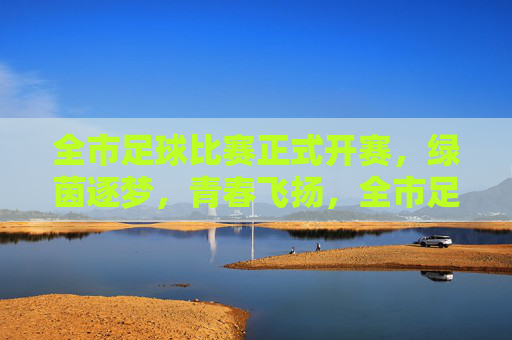 全市足球比赛正式开赛，绿茵逐梦，青春飞扬，全市足球比赛正式开赛，绿茵逐梦，青春飞扬