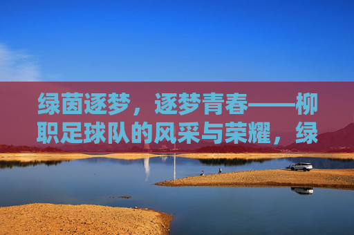 绿茵逐梦，逐梦青春——柳职足球队的风采与荣耀，绿茵逐梦，逐梦青春——柳职足球队的风采与荣耀