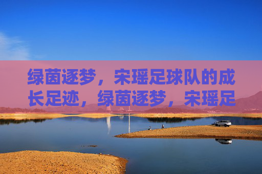 绿茵逐梦，宋瑶足球队的成长足迹，绿茵逐梦，宋瑶足球队的成长足迹