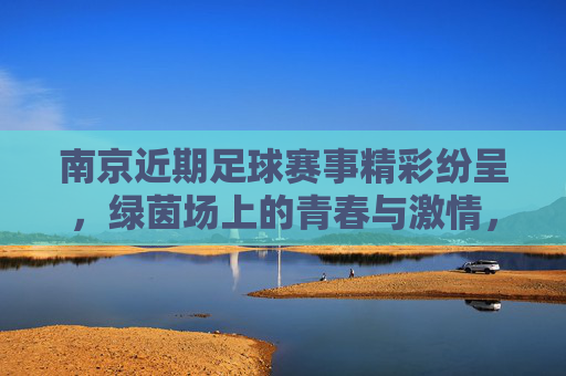 南京近期足球赛事精彩纷呈，绿茵场上的青春与激情，足球文化持续升温，南京足球赛事精彩纷呈，绿茵场上的青春激情与足球文化持续升温