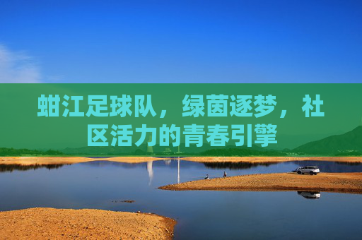 蚶江足球队,绿茵逐梦,社区活力的青春引擎