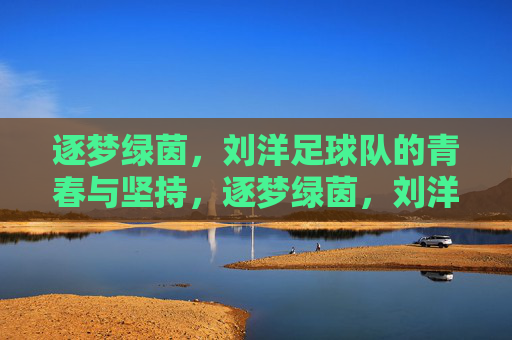 逐梦绿茵，刘洋足球队的青春与坚持，逐梦绿茵，刘洋足球队的青春与坚持