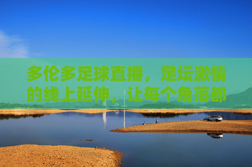 多伦多足球直播,足坛激情的线上延伸,让每个角落都能感受赛场热浪,多伦多足球直播,足坛激情的线上延伸,让每个角落都能感受赛场热浪