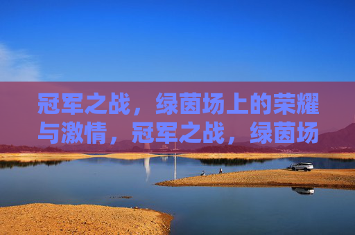 冠军之战，绿茵场上的荣耀与激情，冠军之战，绿茵场上的荣耀与激情