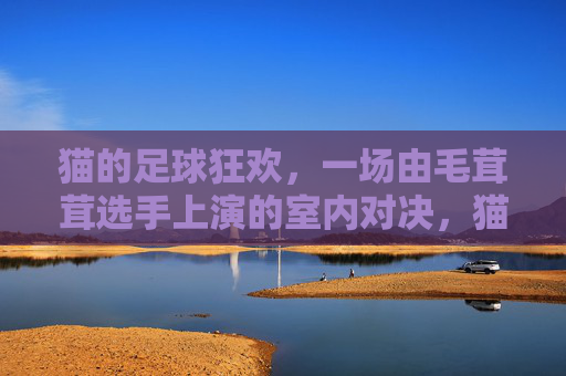 猫的足球狂欢,一场由毛茸茸选手上演的室内对决,猫的足球狂欢,一场由毛茸茸选手上演的室内对决