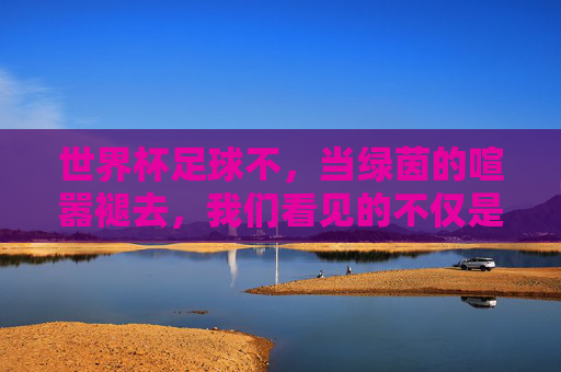 世界杯足球不，当绿茵的喧嚣褪去，我们看见的不仅是胜负，更是人类对共同语言的追寻，当绿茵的喧嚣褪去，人类对共同语言的追寻
