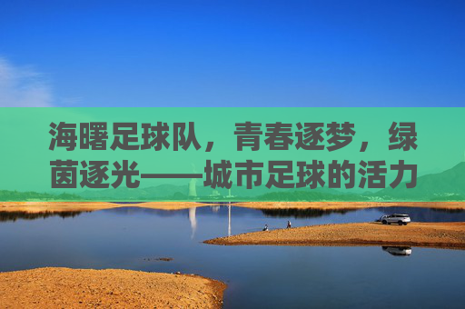 海曙足球队，青春逐梦，绿茵逐光——城市足球的活力缩影，海曙足球队，青春逐梦，绿茵逐光——城市足球的活力缩影