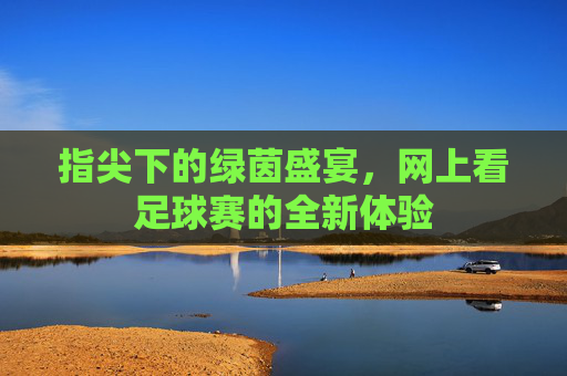 指尖下的绿茵盛宴,网上看足球赛的全新体验