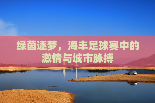绿茵逐梦，海丰足球赛中的激情与城市脉搏