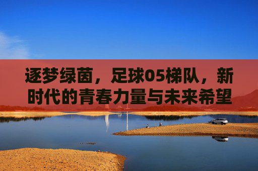 逐梦绿茵，足球05梯队，新时代的青春力量与未来希望，逐梦绿茵，足球05梯队，新时代的青春力量与未来希望