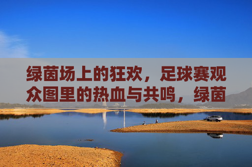 绿茵场上的狂欢，足球赛观众图里的热血与共鸣，绿茵场上的狂欢，足球赛观众图里的热血与共鸣